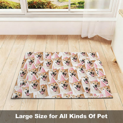 Personalized Diatomite Pet Feeding Mat