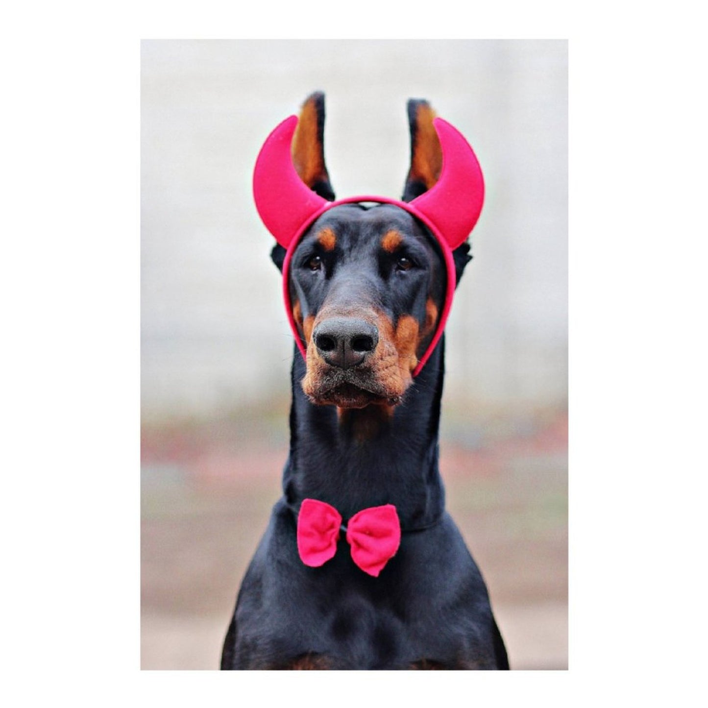 Custom Square Drill Diamond Painting | Turn Your Photo into Mosaic Art