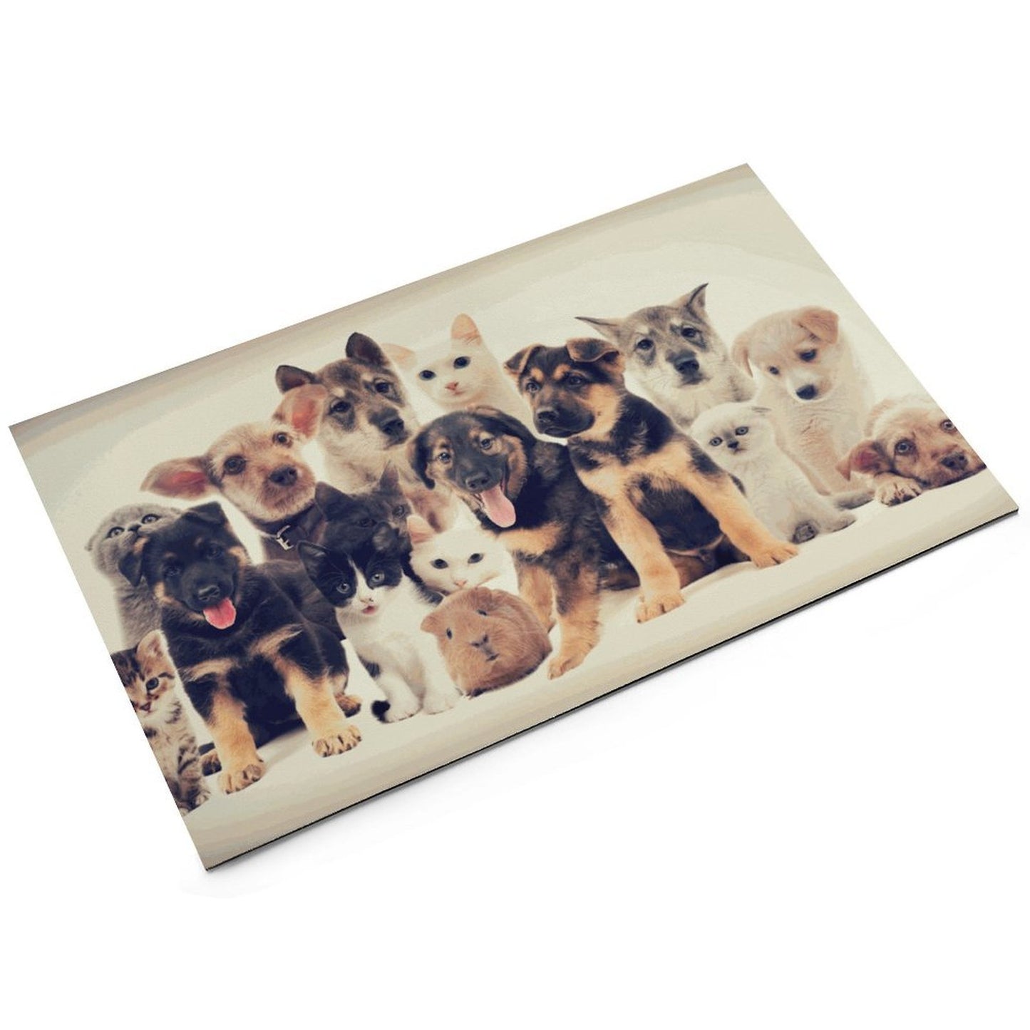 Custom Absorbent Pet Feeding Mat