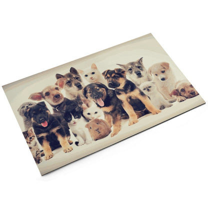 Custom Absorbent Pet Feeding Mat