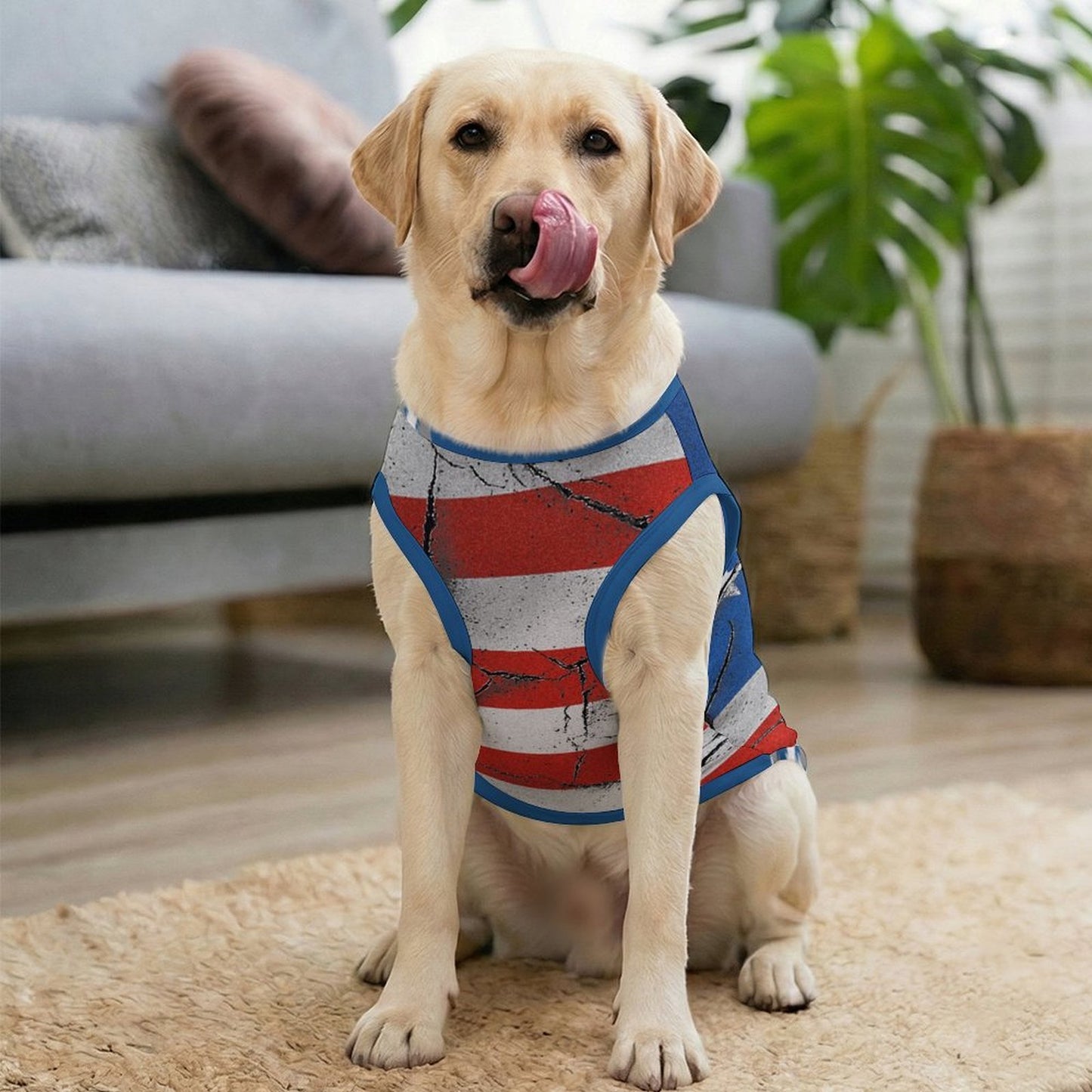Custom Pet Portrait Embroidered Sweatshirt