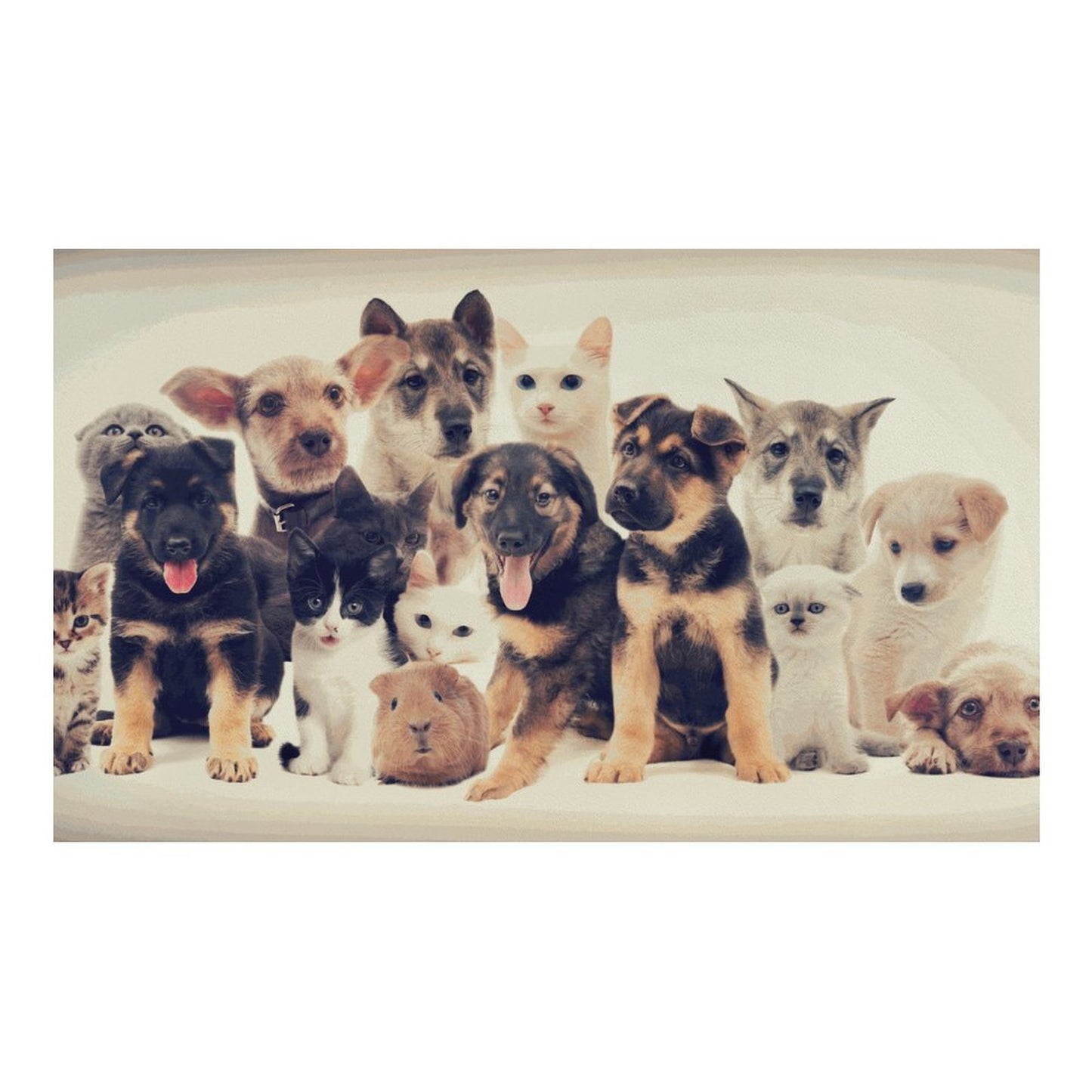 Custom Absorbent Pet Feeding Mat