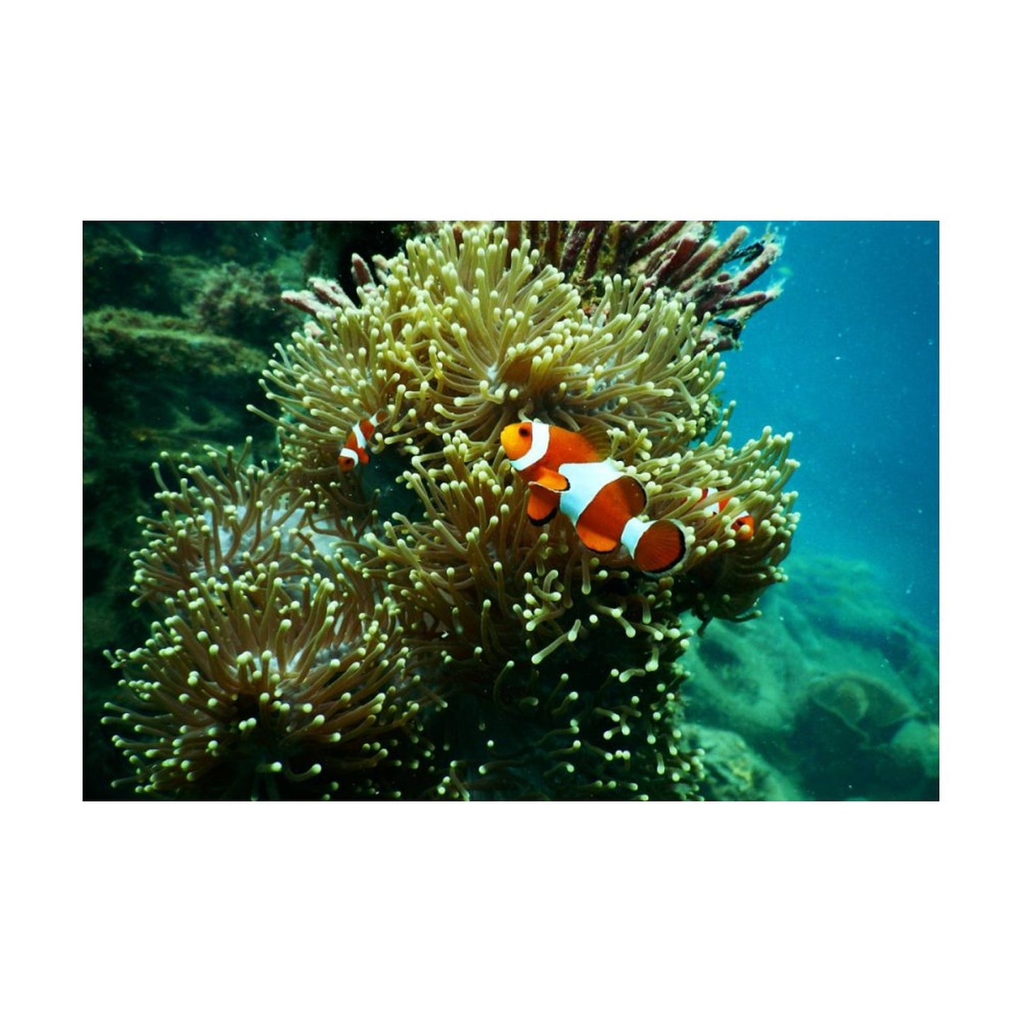 Custom Diamond Art Kit | Turn Your Photo into a Round Drill Painting