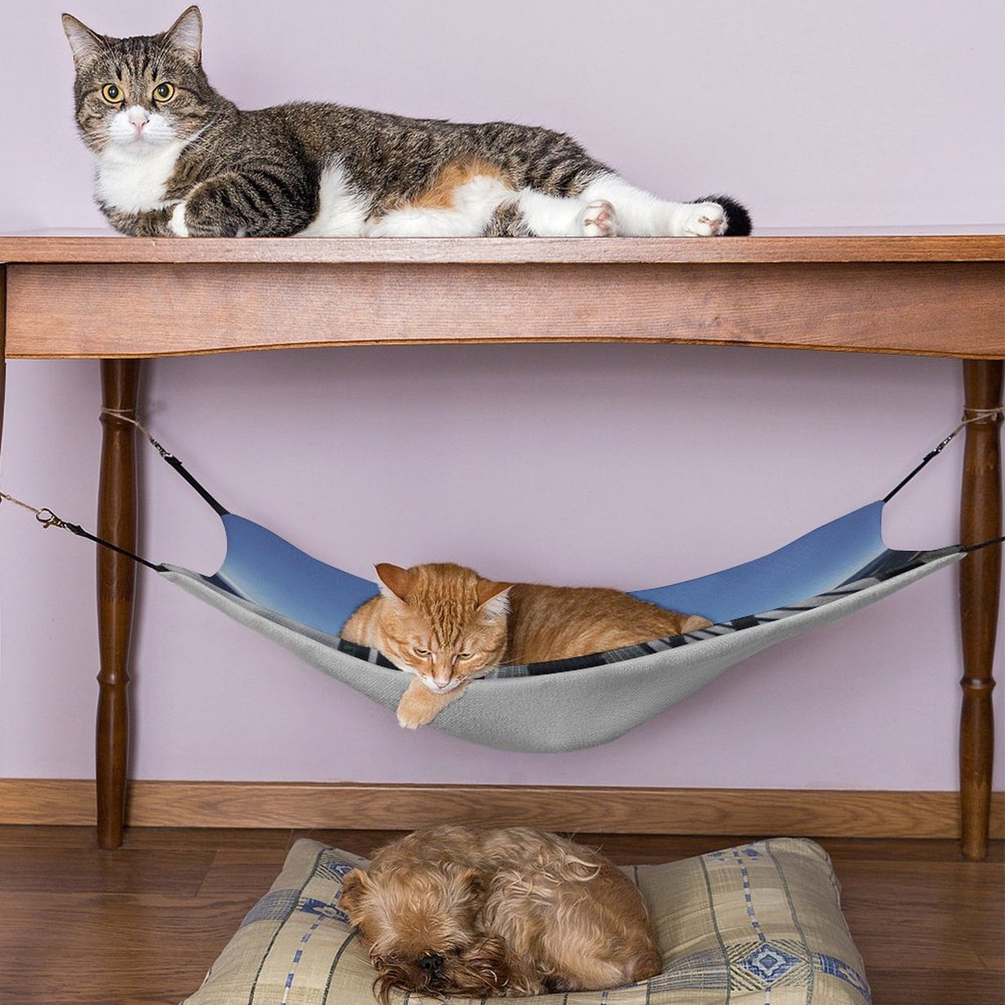 Custom Pet Hammock | Personalized Cat & Small Dog Bed for Crate or Chair