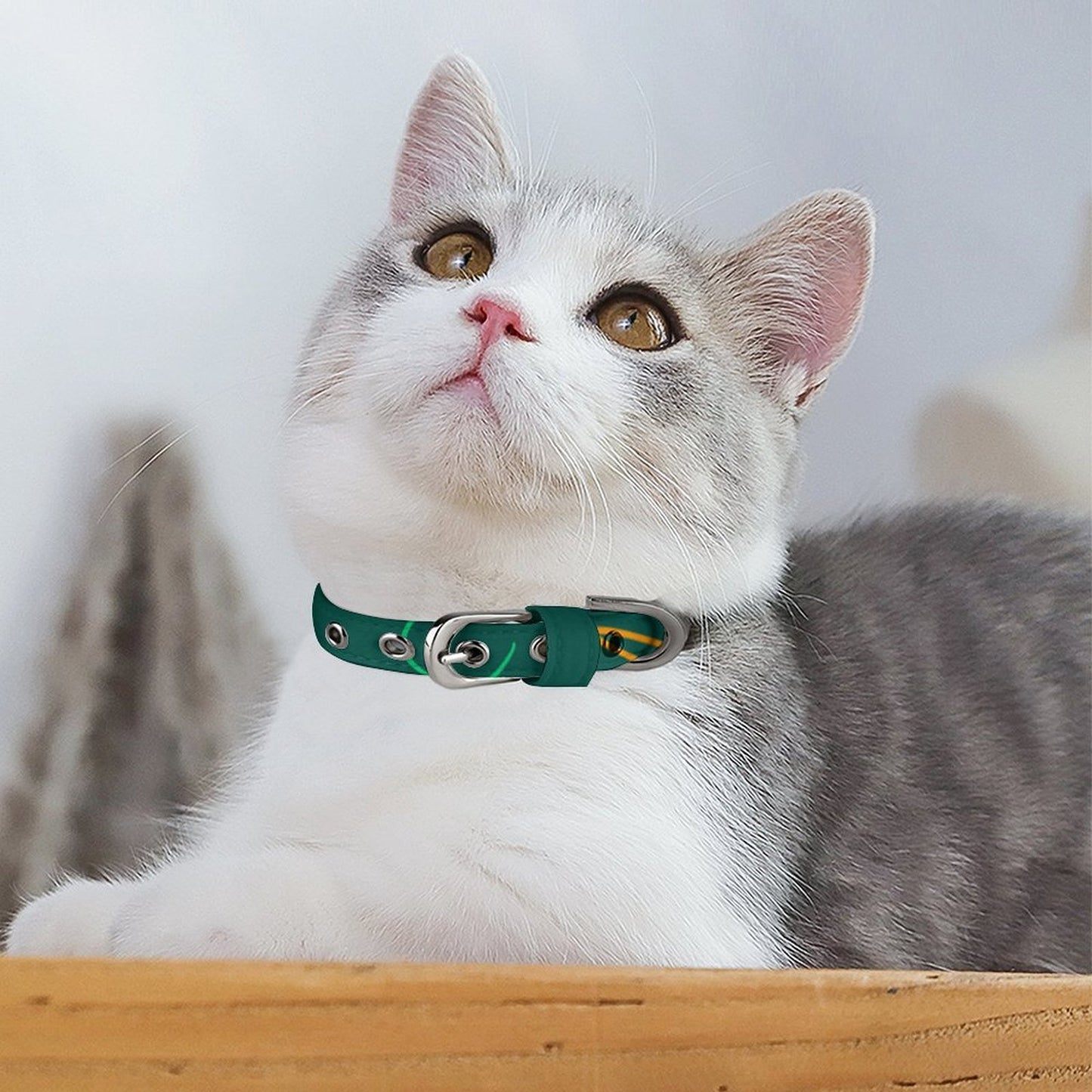 Custom Printed Oxford Pet Collar for Small Dogs