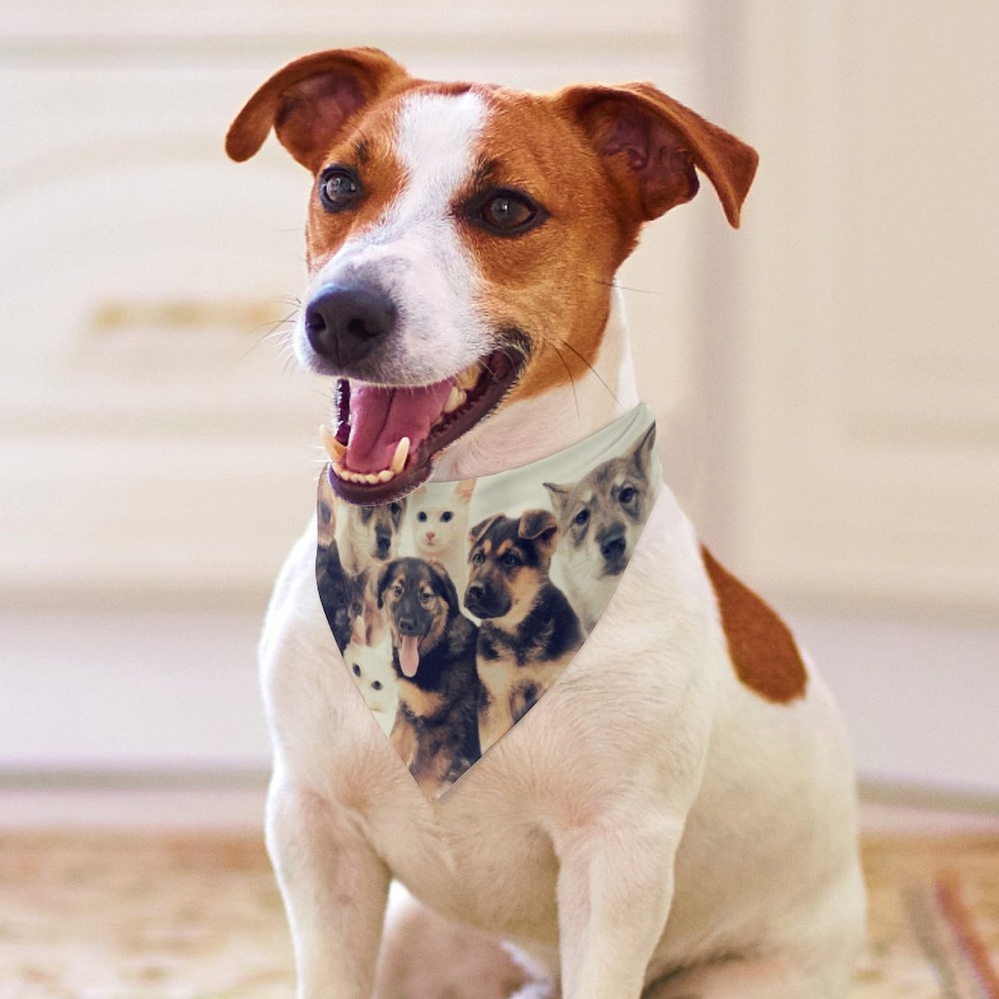 Custom Lightweight Triangle Pet Bandana