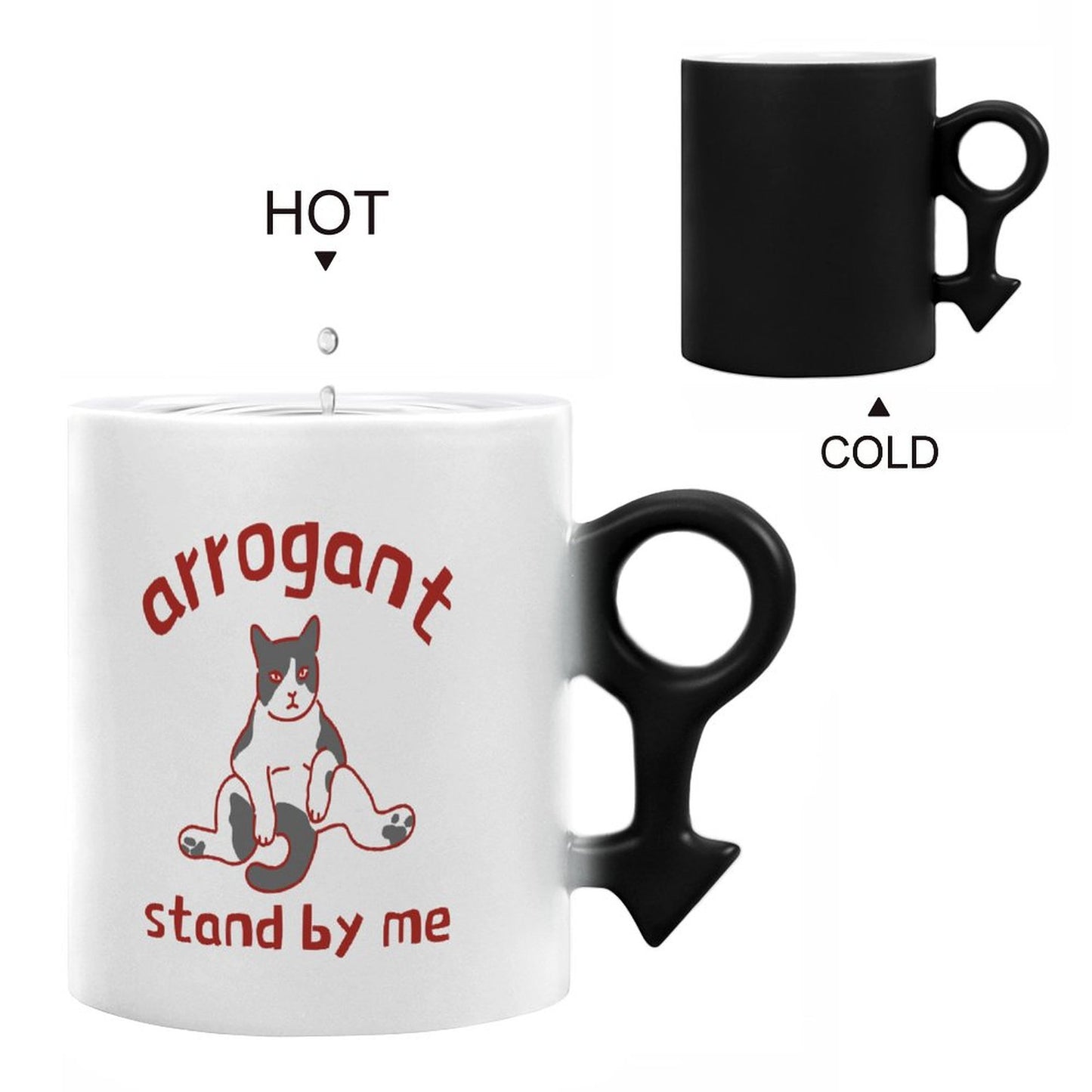 Custom Heat Changing Mug Set Couples | Photo Reveal Gift