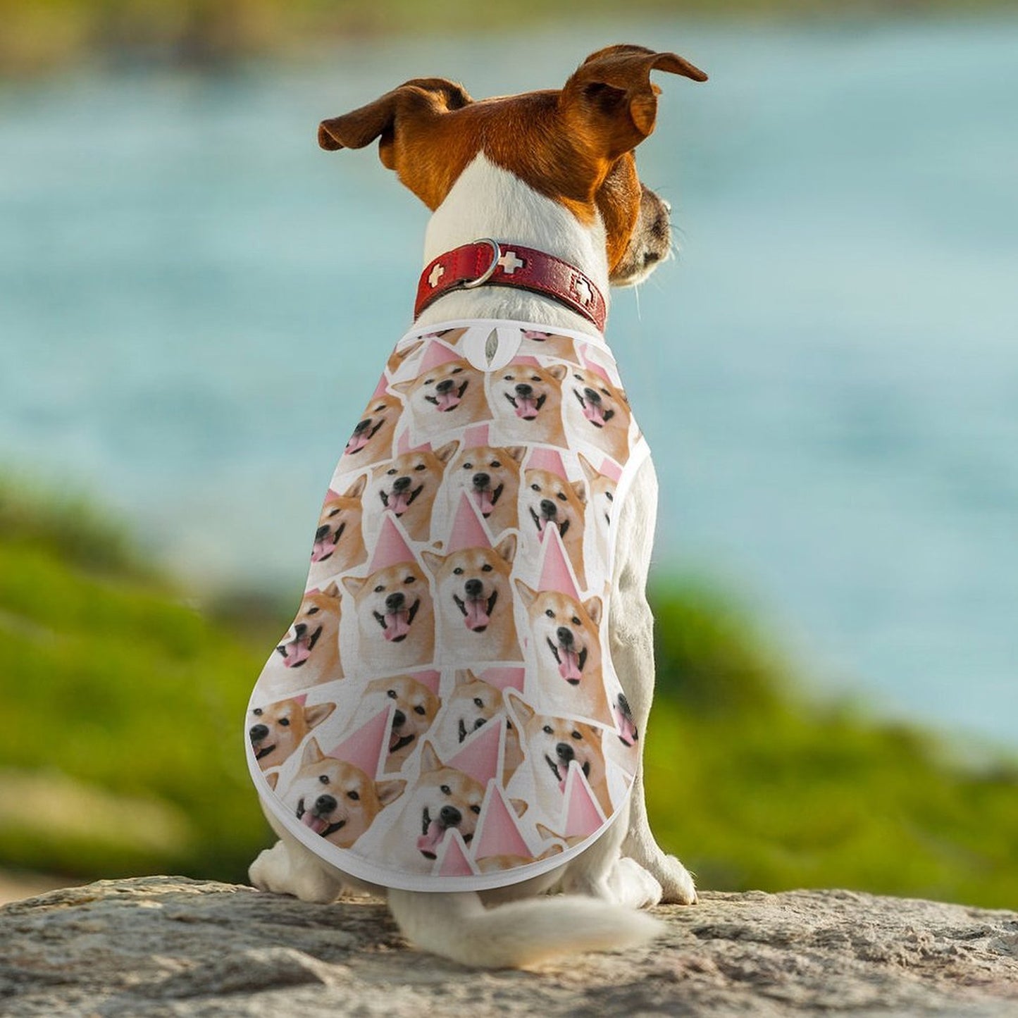 Custom All Over Print Breathable Pet Vest