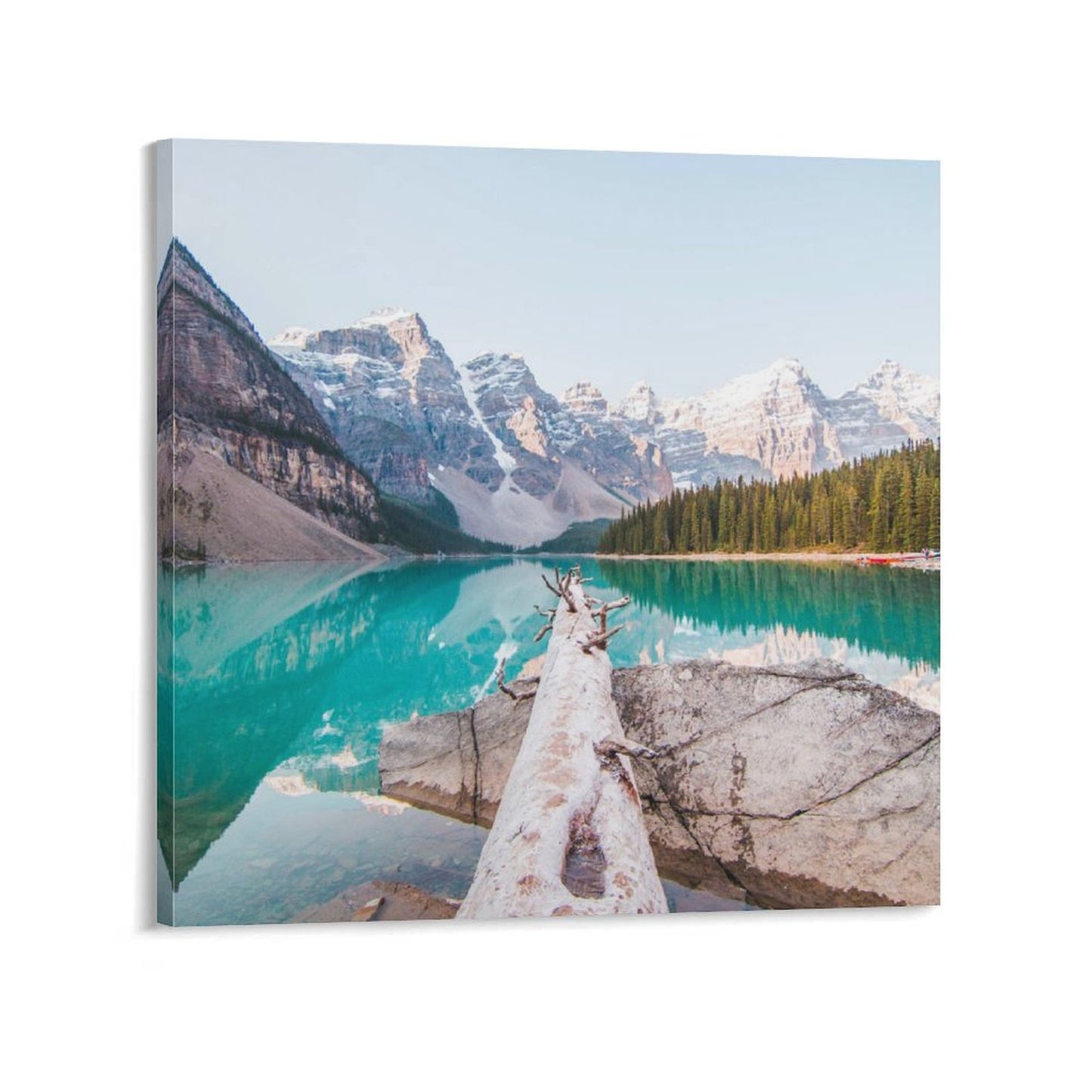 Custom Square Canvas Print | Turn Your Photo into 12x12, 16x16 & More