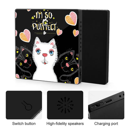Customizable Acrylic Bluetooth Music Fridge Magnet with Rechargeable Battery and UV Print