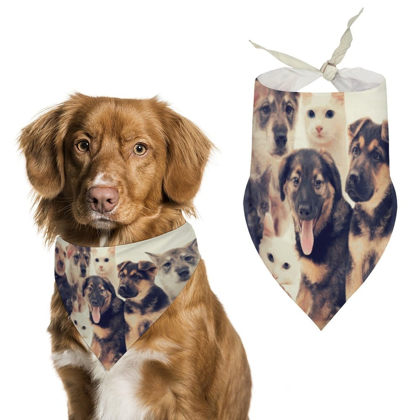 Custom Lightweight Triangle Pet Bandana