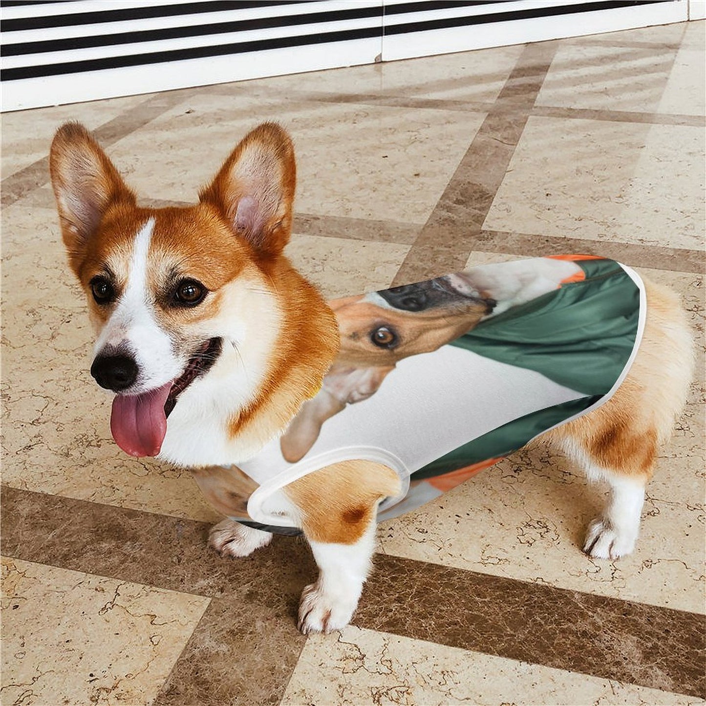 Custom Pet Shirt | Personalized Dog & Cat Tank Top with Your Photo